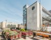 Zwei Büroetagen in einer fantastischen Lage an der Oberbaumbrücke gesucht? - Dachterrasse